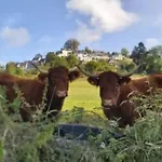 Kemping Avec Terrasse - 6 Pers. - Api-1-52-2043