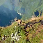 Avec Terrasse - 6 Pers. - Api-1-52-2043 * La Tour-dʼAuvergne