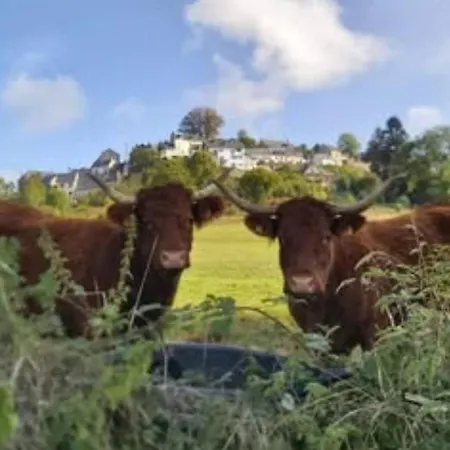 Campsite Avec Terrasse - 6 Pers. - Api-1-52-2043