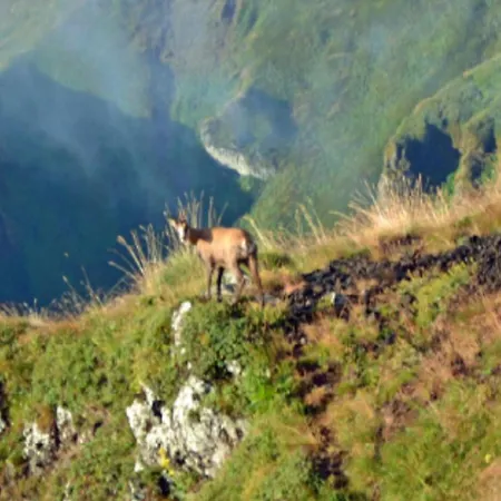 Avec Terrasse - 6 Pers. - Api-1-52-2043 * La Tour-d'Auvergne