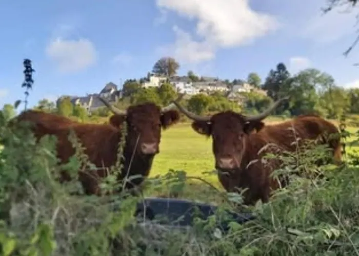 Кемпинг Avec Terrasse - 6 Pers. - Api-1-52-2043