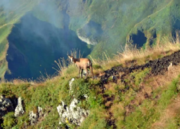 Avec Terrasse - 6 Pers. - Api-1-52-2043 * La Tour-d'Auvergne